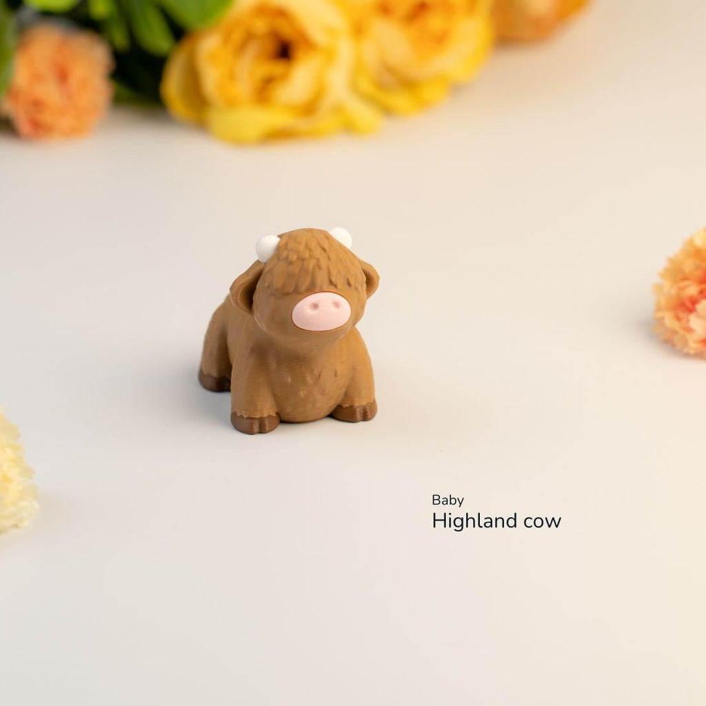 Baby Hyland Cow - Ternero adorable