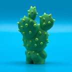 Plant Prickly Pear