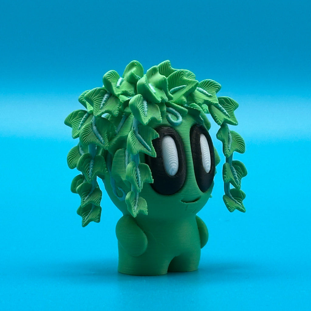 Plant Ivy