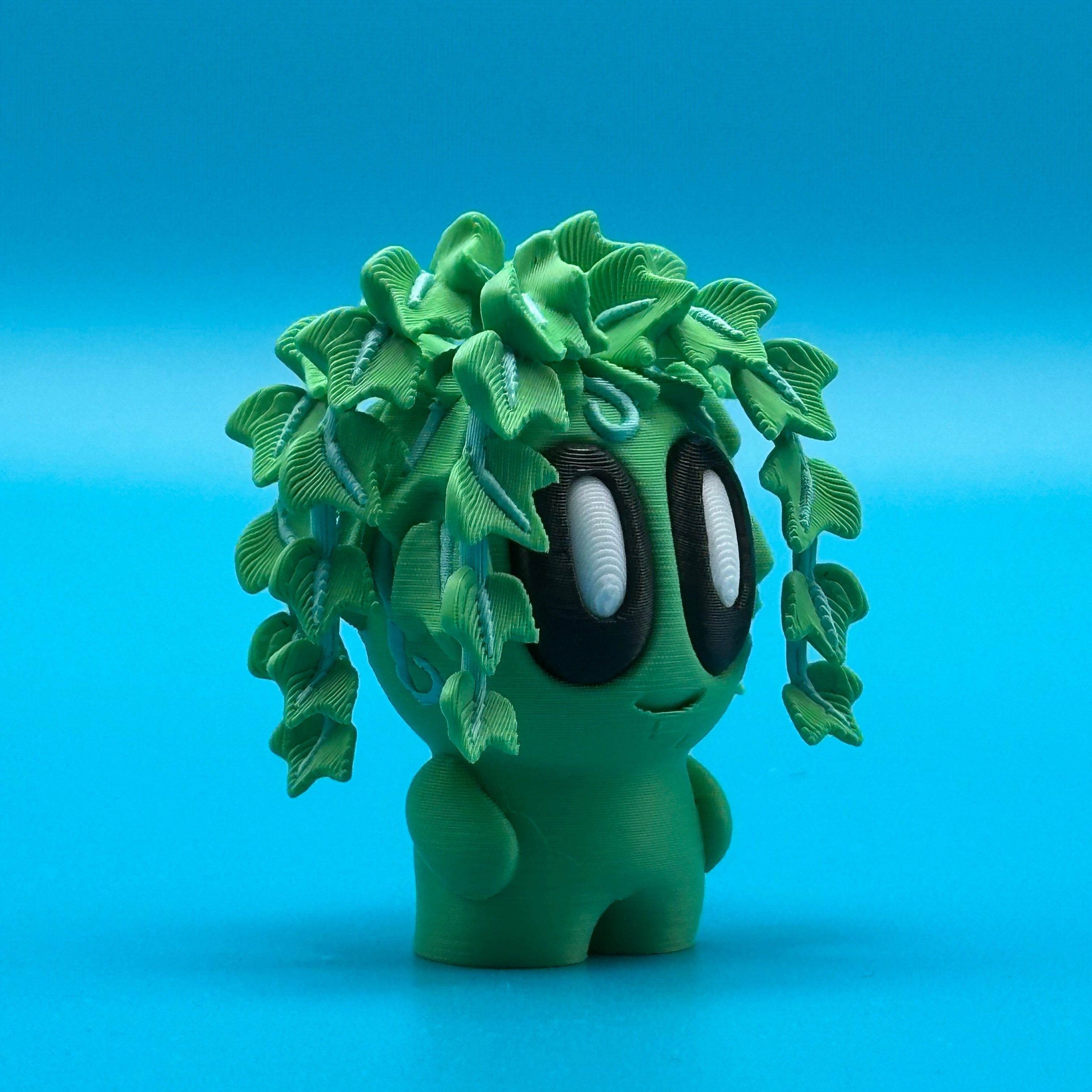 Plant Ivy