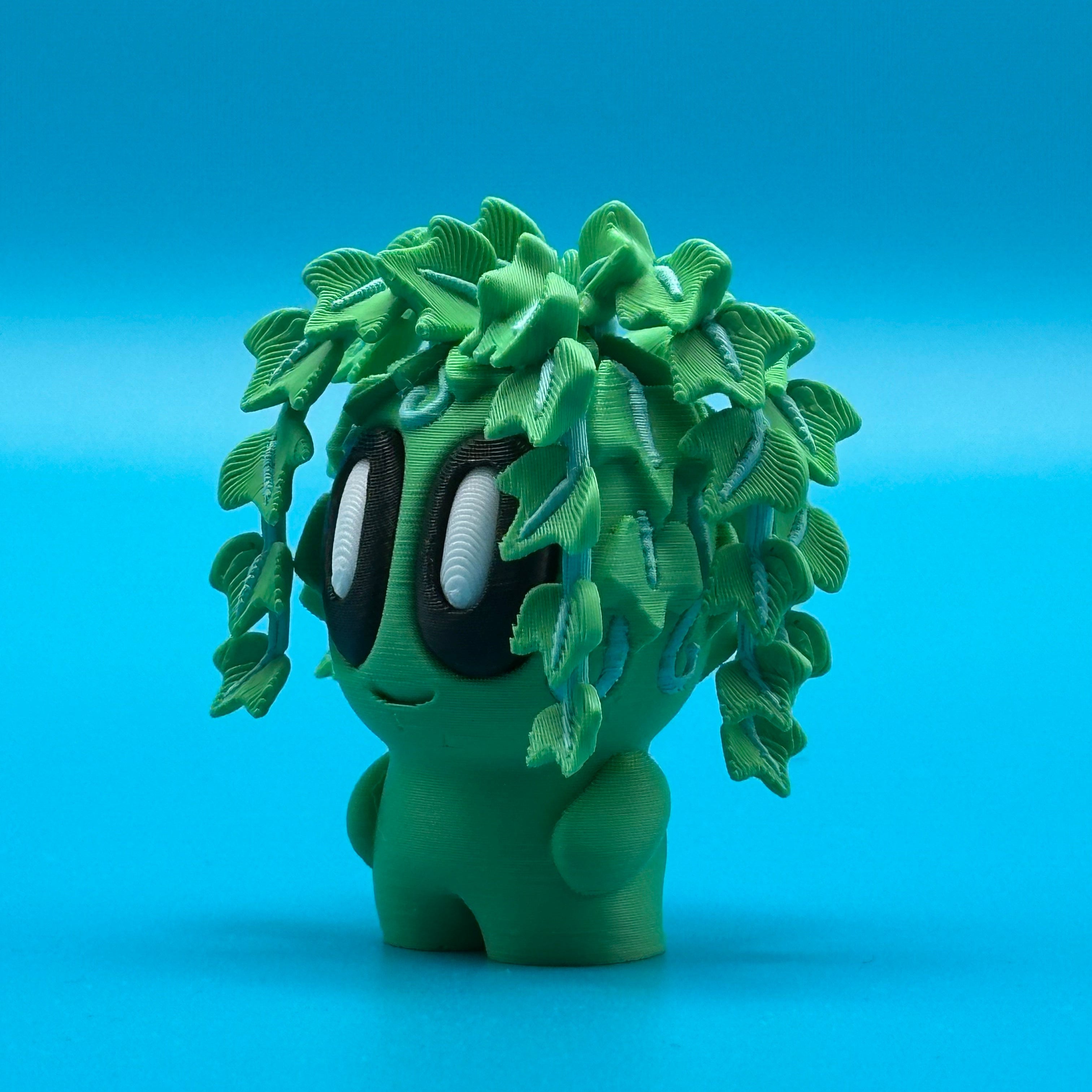 Plant Ivy