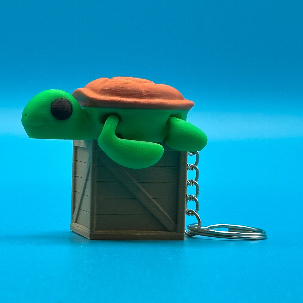 Baby Turtle / Bebé Tortuga