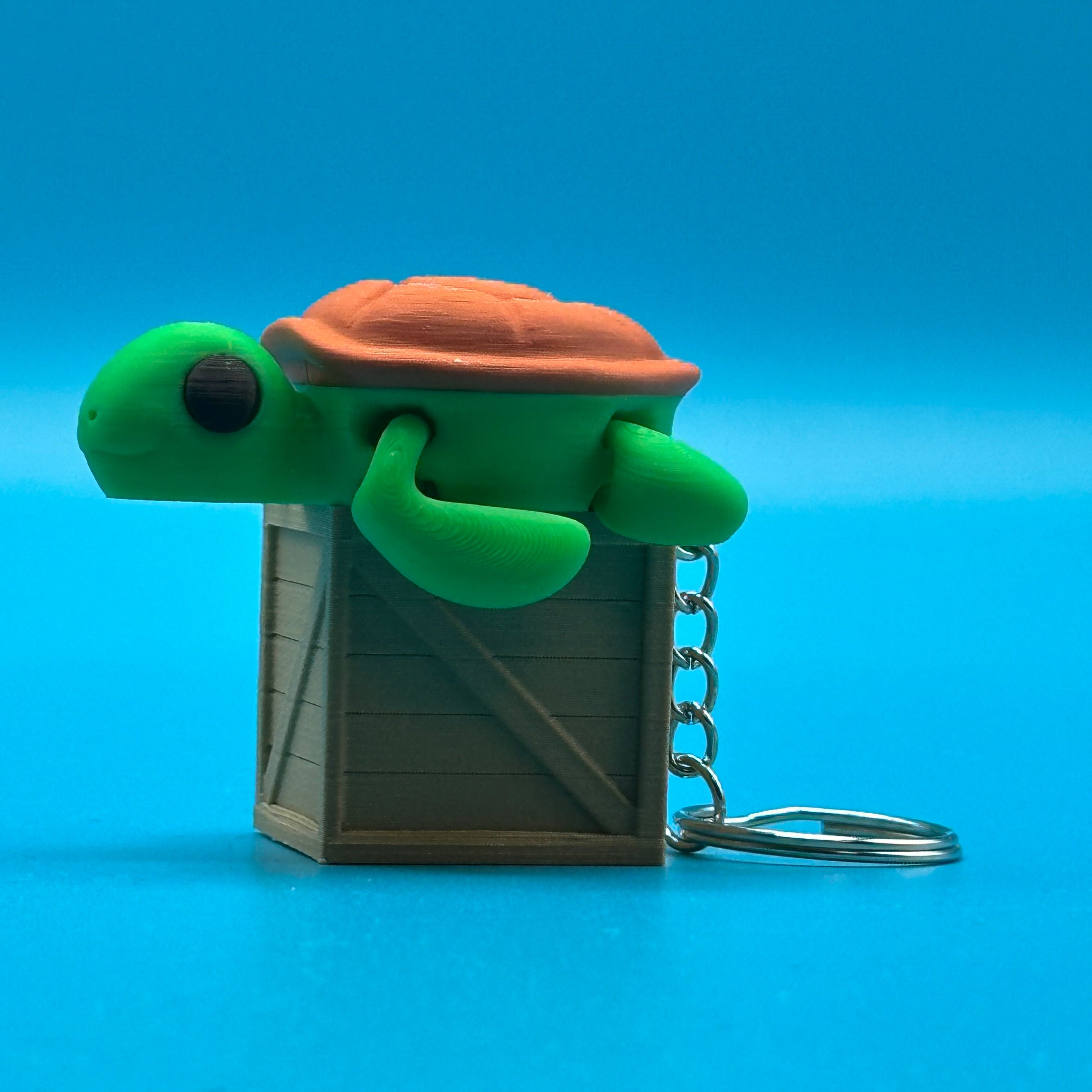 Baby Turtle / Bebé Tortuga