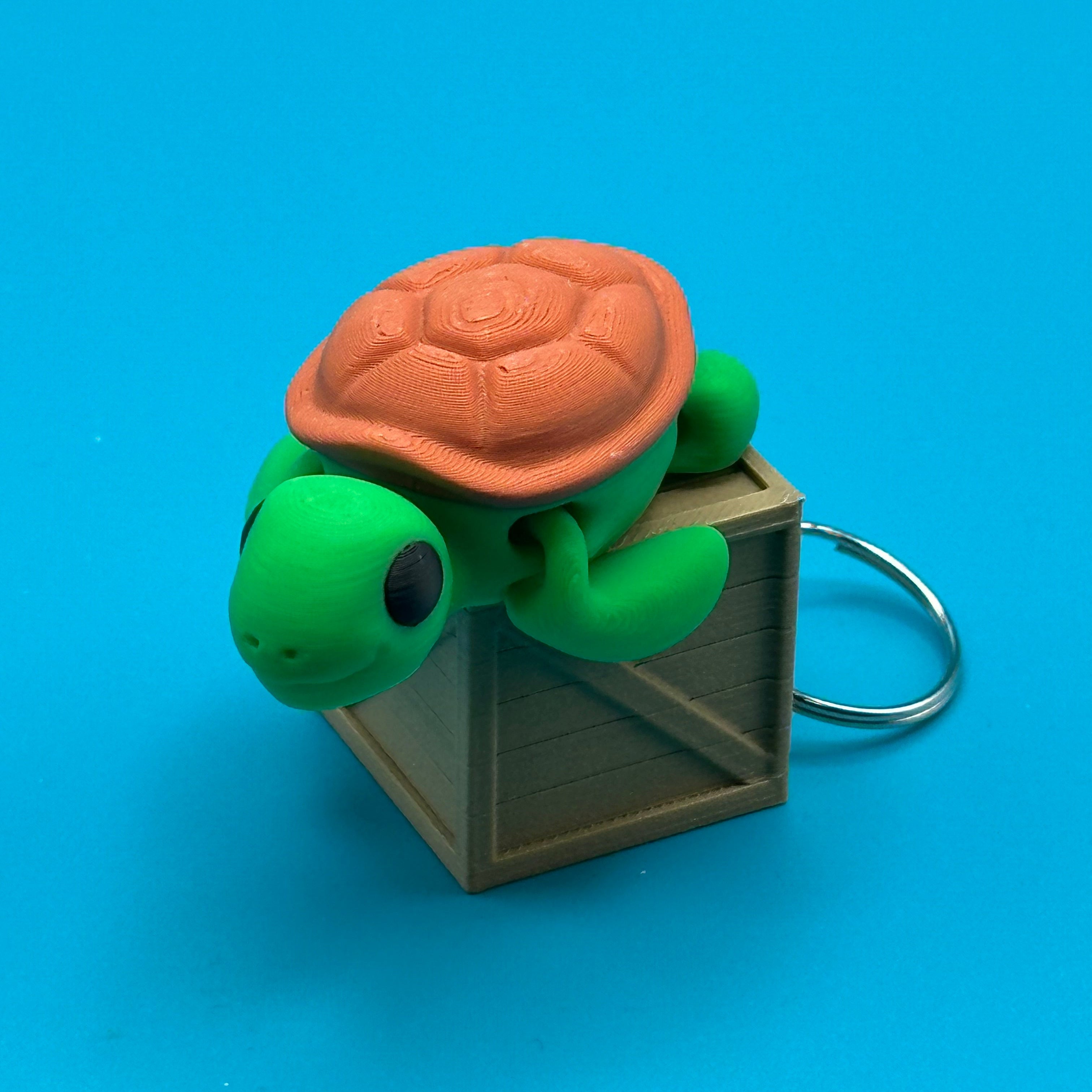 Baby Turtle / Bebé Tortuga