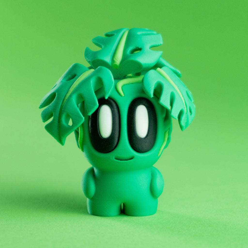 Plant Monstera