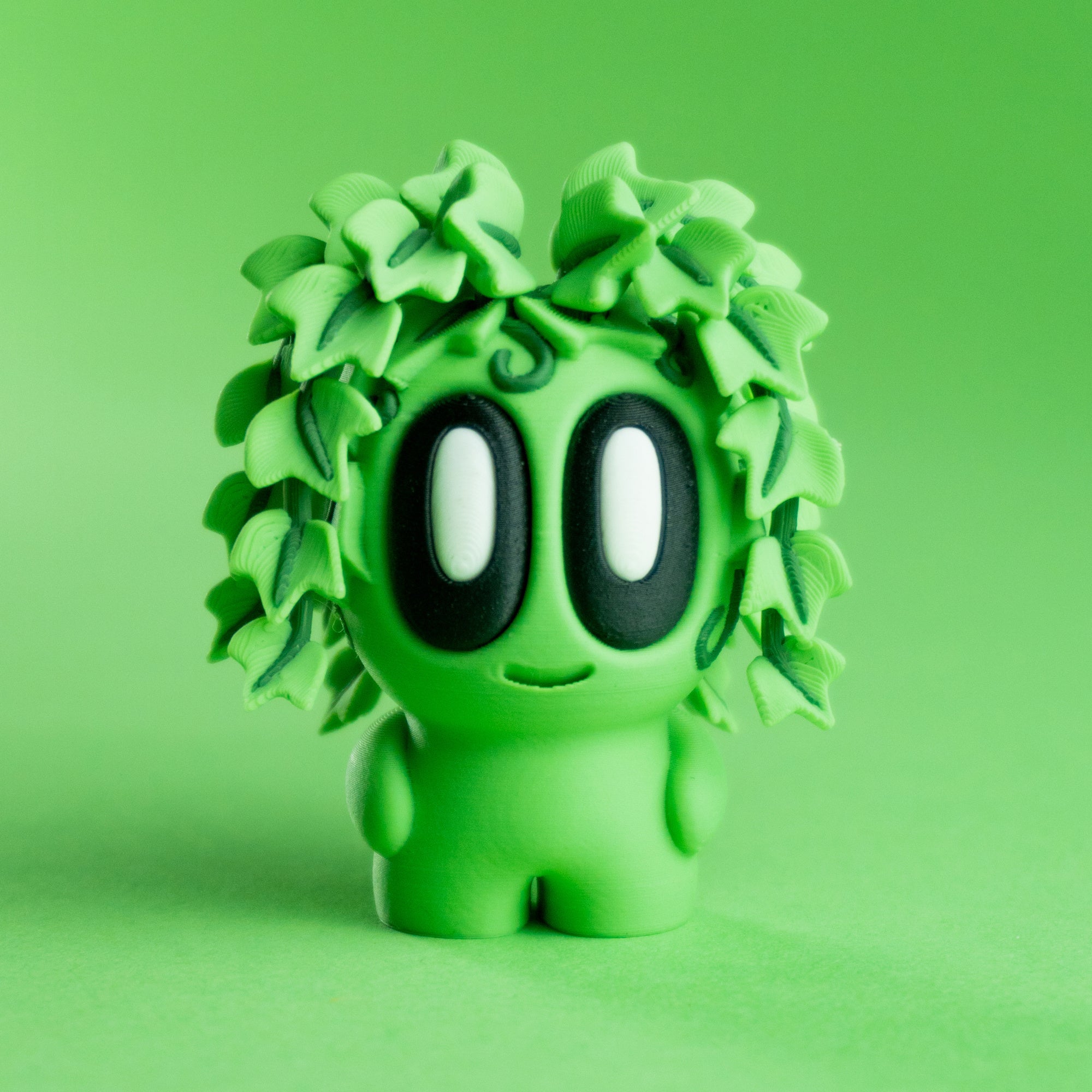 Plant Ivy