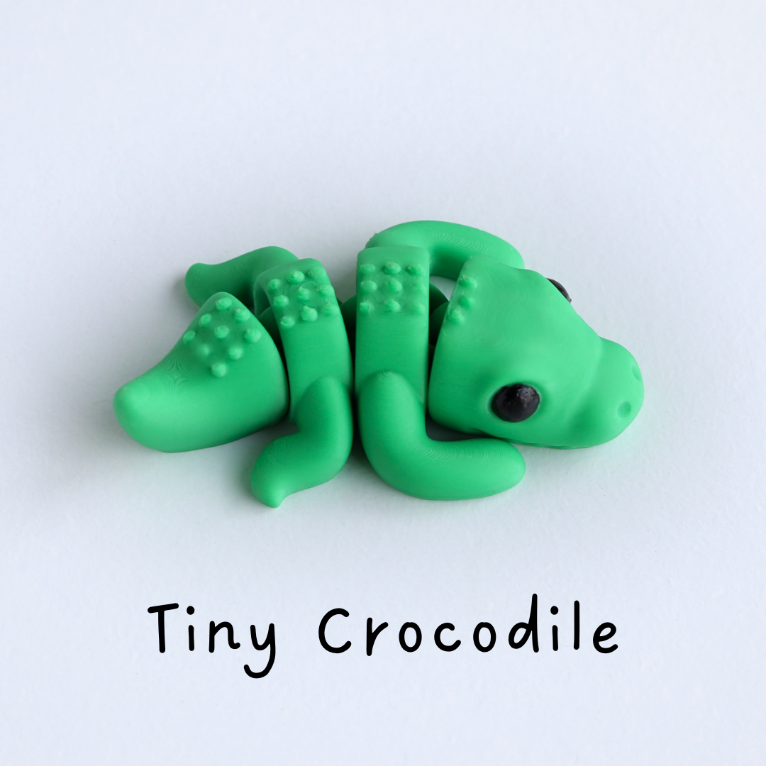Tiny Baby Crocodile / Mini Bebé Cocodrilo