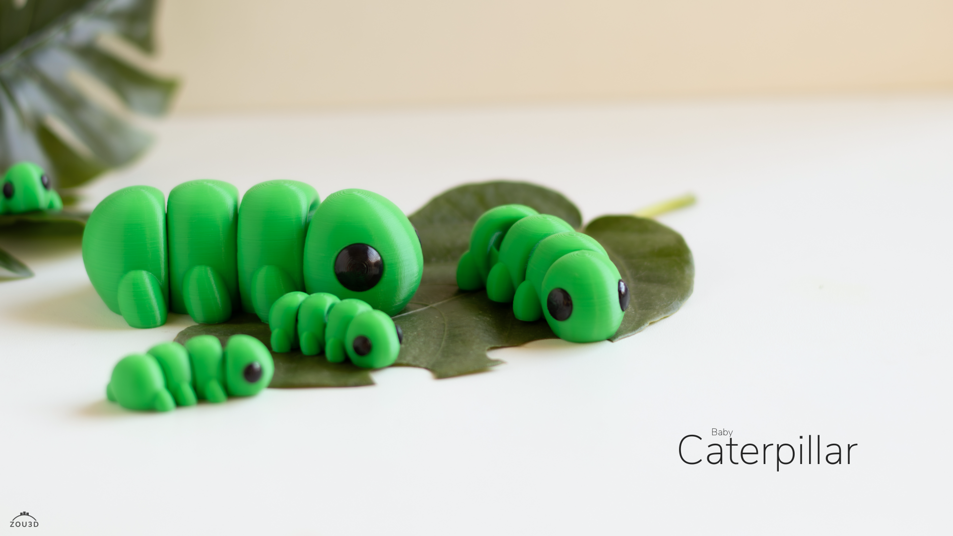 Baby Caterpillar / Bebé Oruga