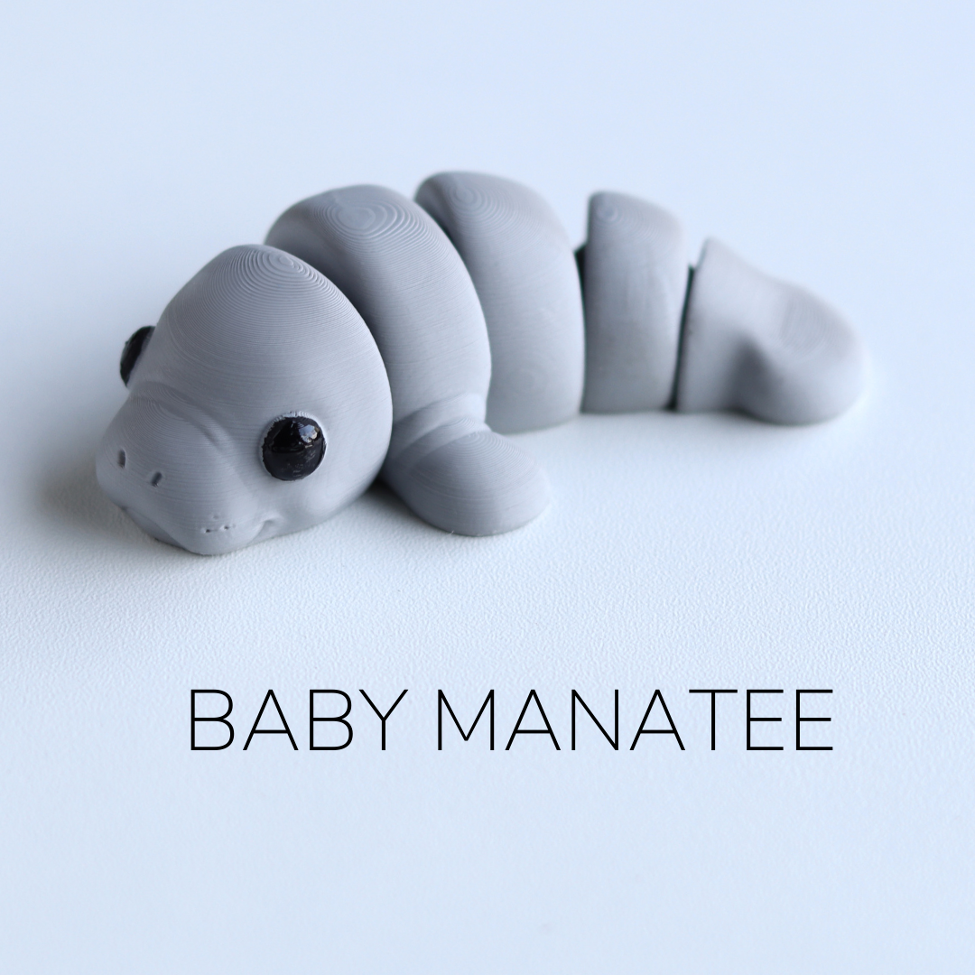 Baby Manatee / Bebé Manatí