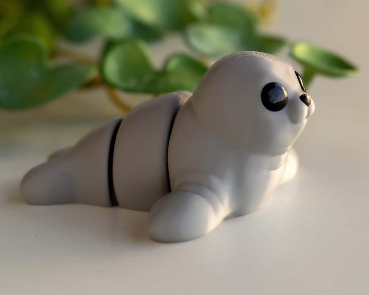 Baby Seal / Bebé Foca