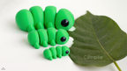 Baby Caterpillar / Bebé Oruga