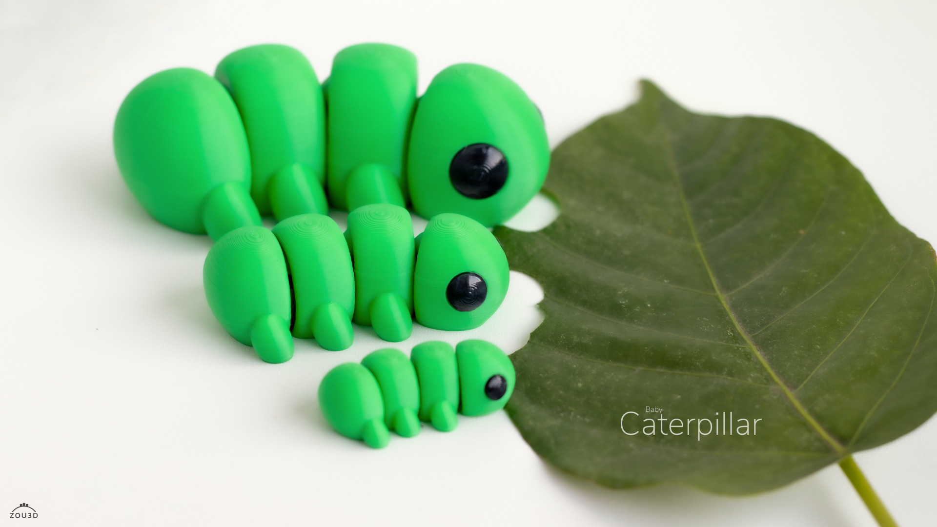 Baby Caterpillar / Bebé Oruga