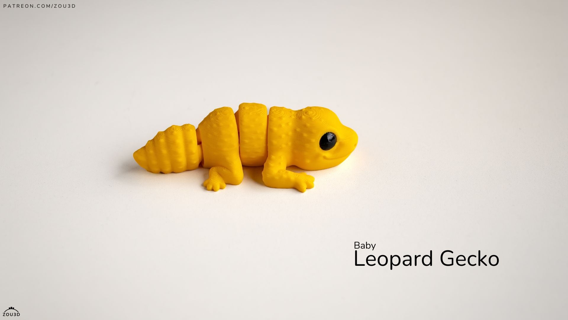 Baby Leopard Gecko / Bebé Leopardo Geco