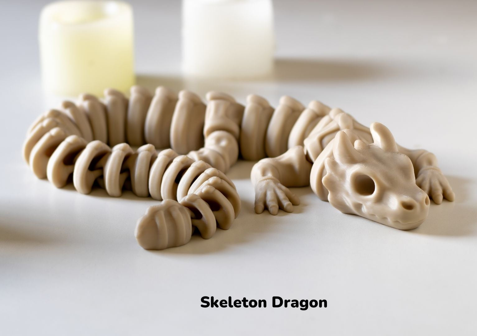 Skeleton Dragon / Esqueleto Dragón