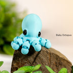 Baby Octopus / Bebé Pulpo 2025