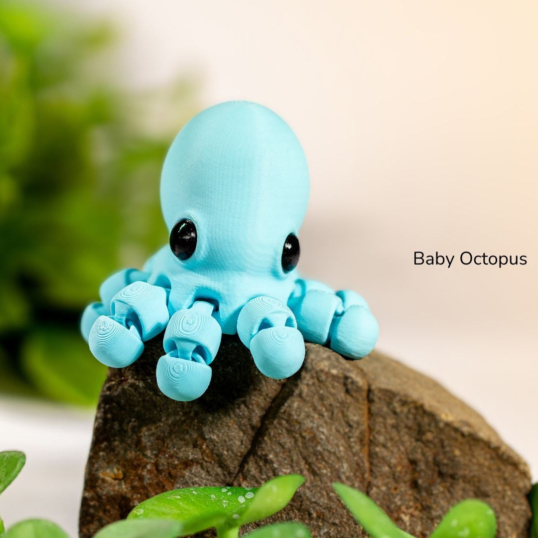 Baby Octopus / Bebé Pulpo 2025