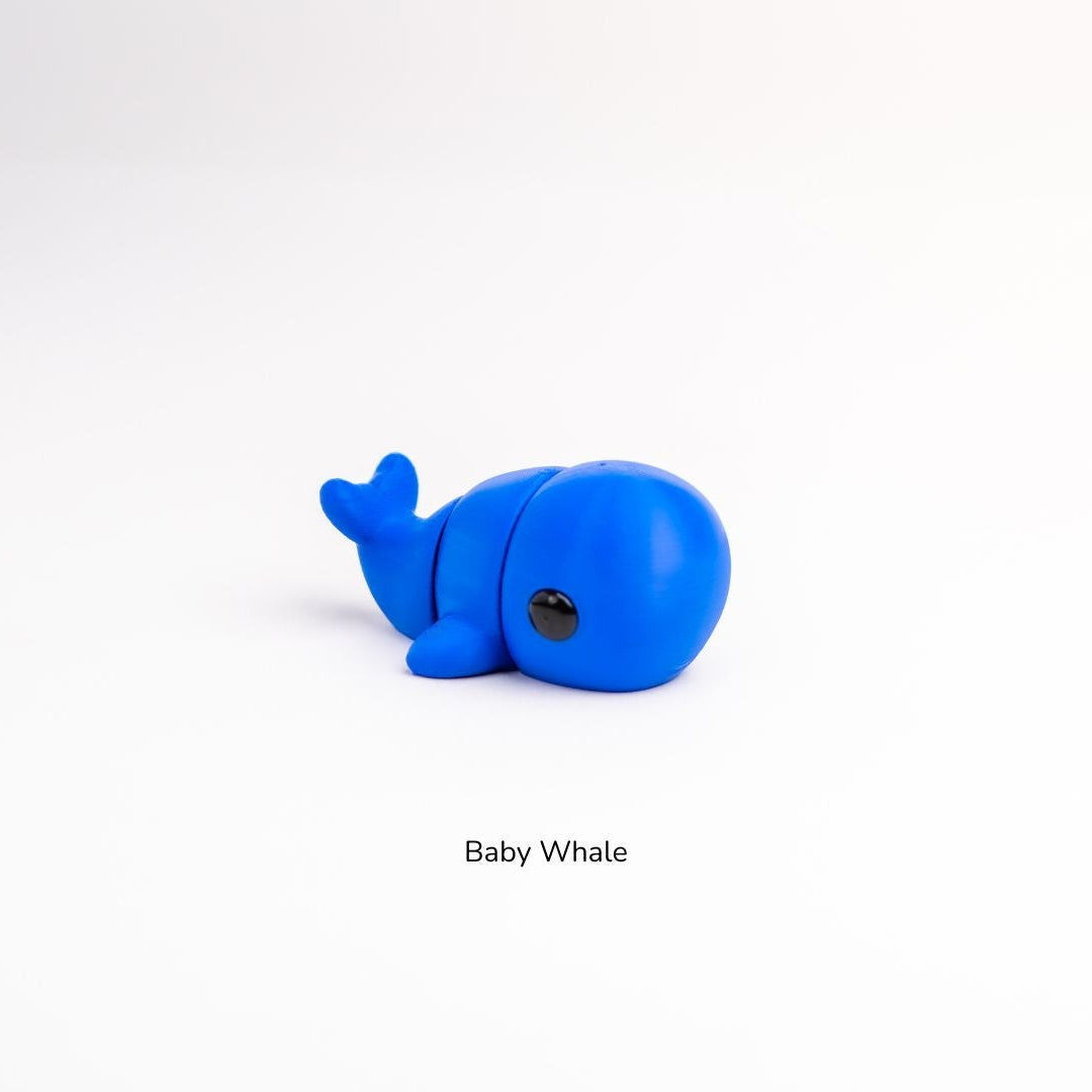 Baby Whale / Bebé Ballena