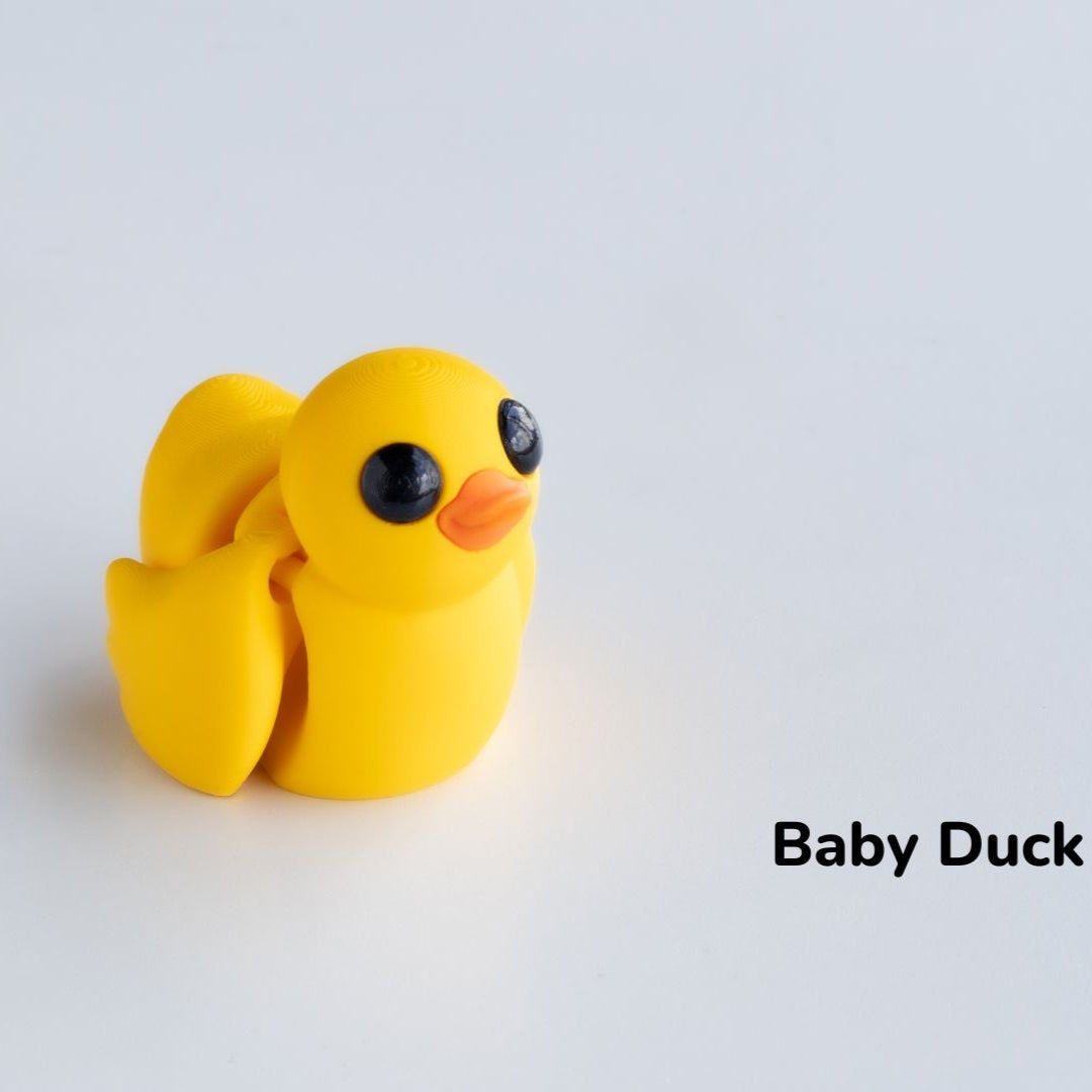 Baby Duck / Bebé Pato