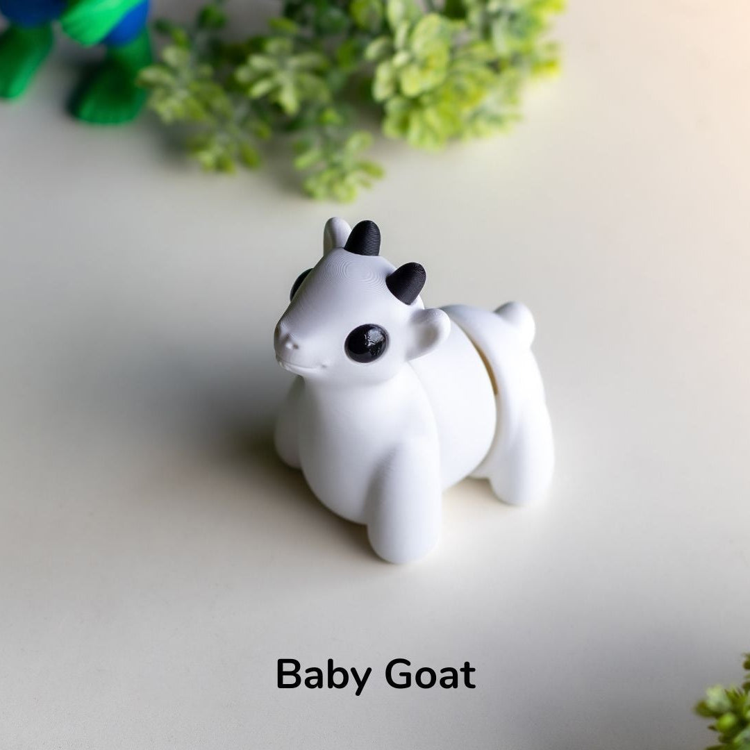Baby Goat / Bebé Cabra