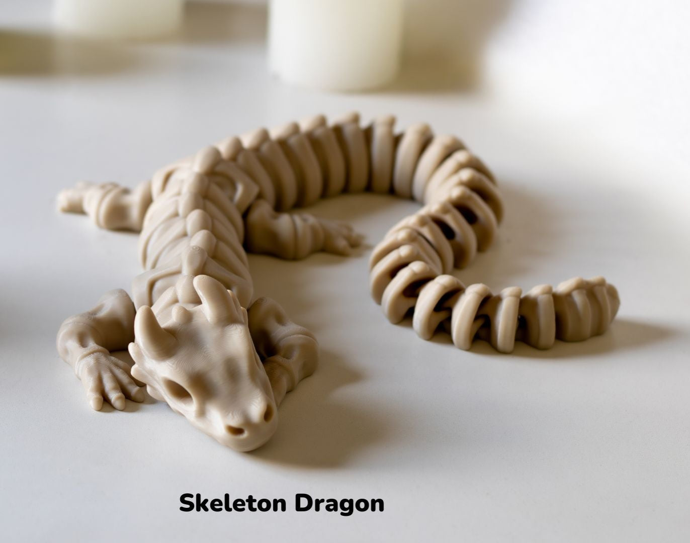 Skeleton Dragon / Esqueleto Dragón