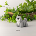 Baby Wolf
