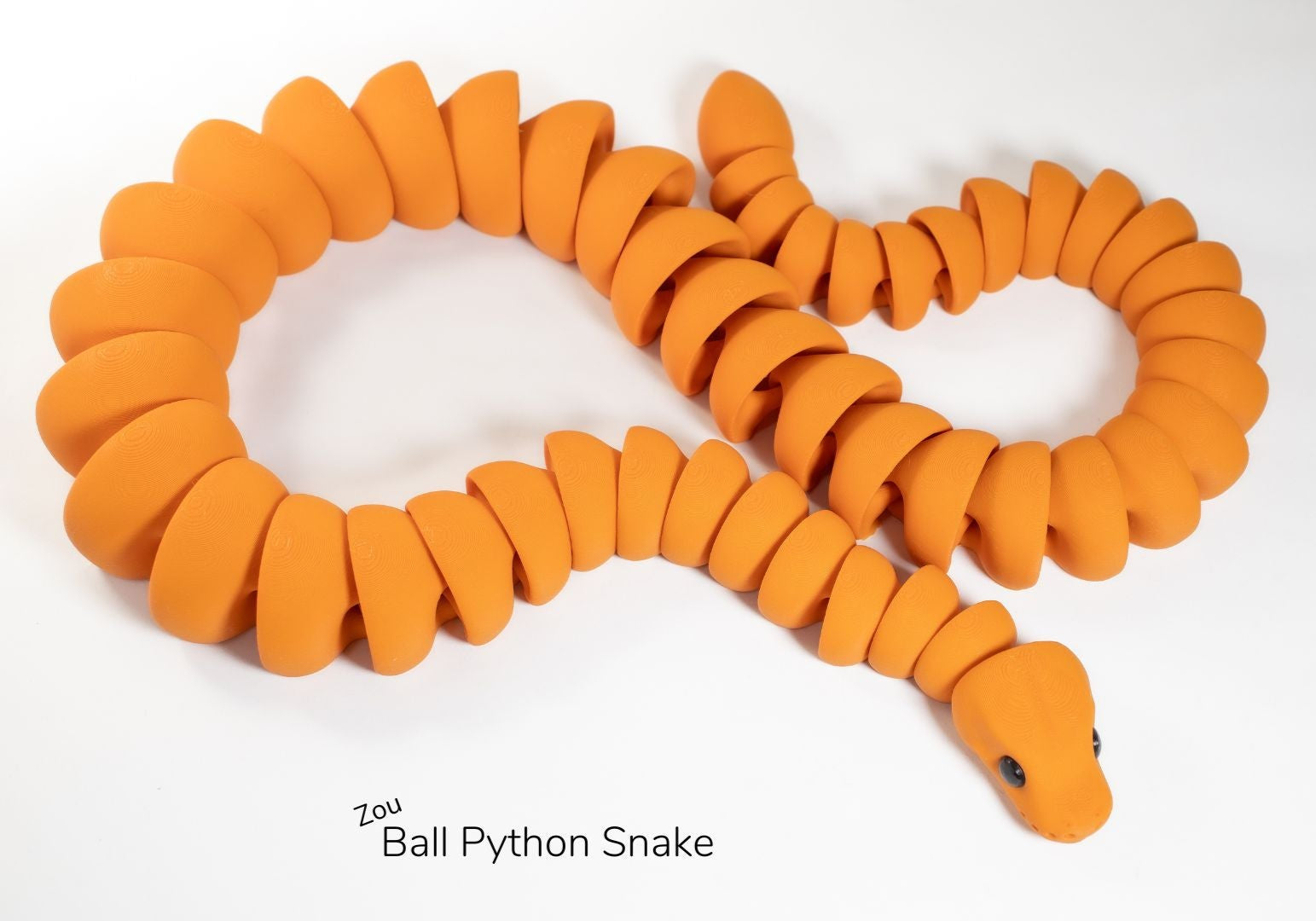 Zou Ball Python Snake / Zou Bola Pitón Serpiente