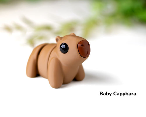 Baby Capybara / Bebé Carpincho