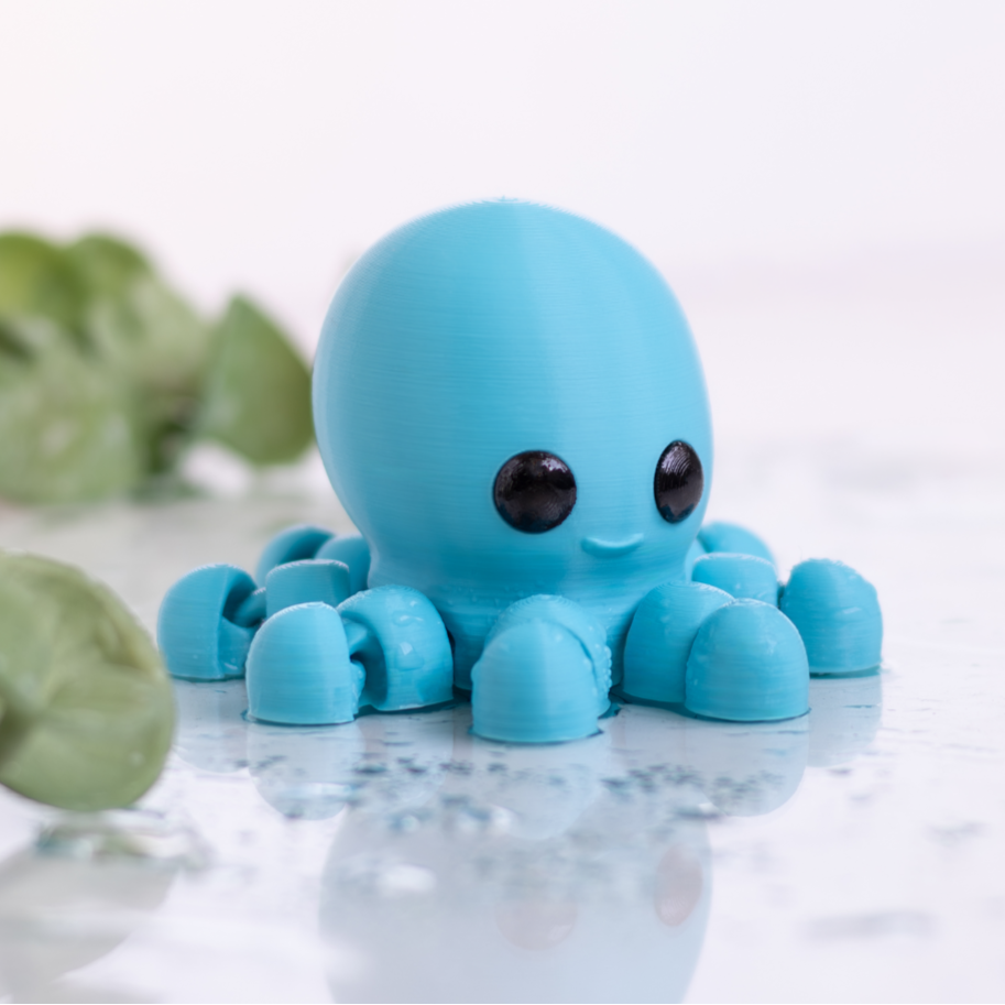 Baby Octopus / Bebé Pulpo