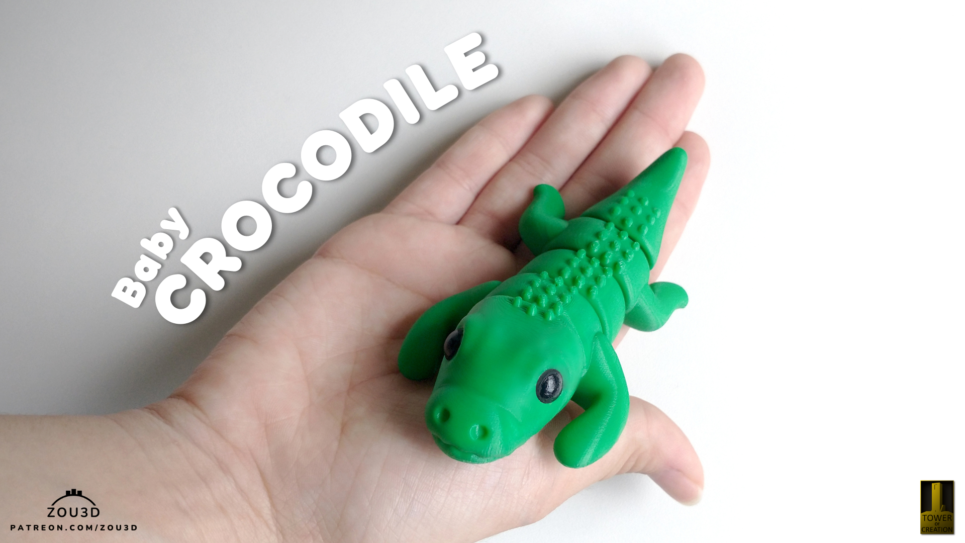 Baby Crocodile / Bebé Cocodrilo