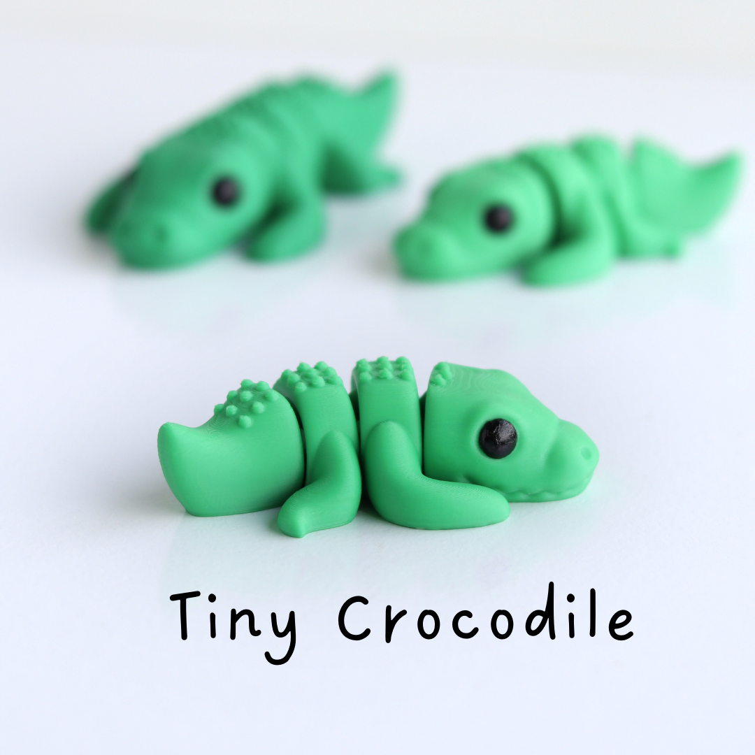 Tiny Baby Crocodile / Mini Bebé Cocodrilo