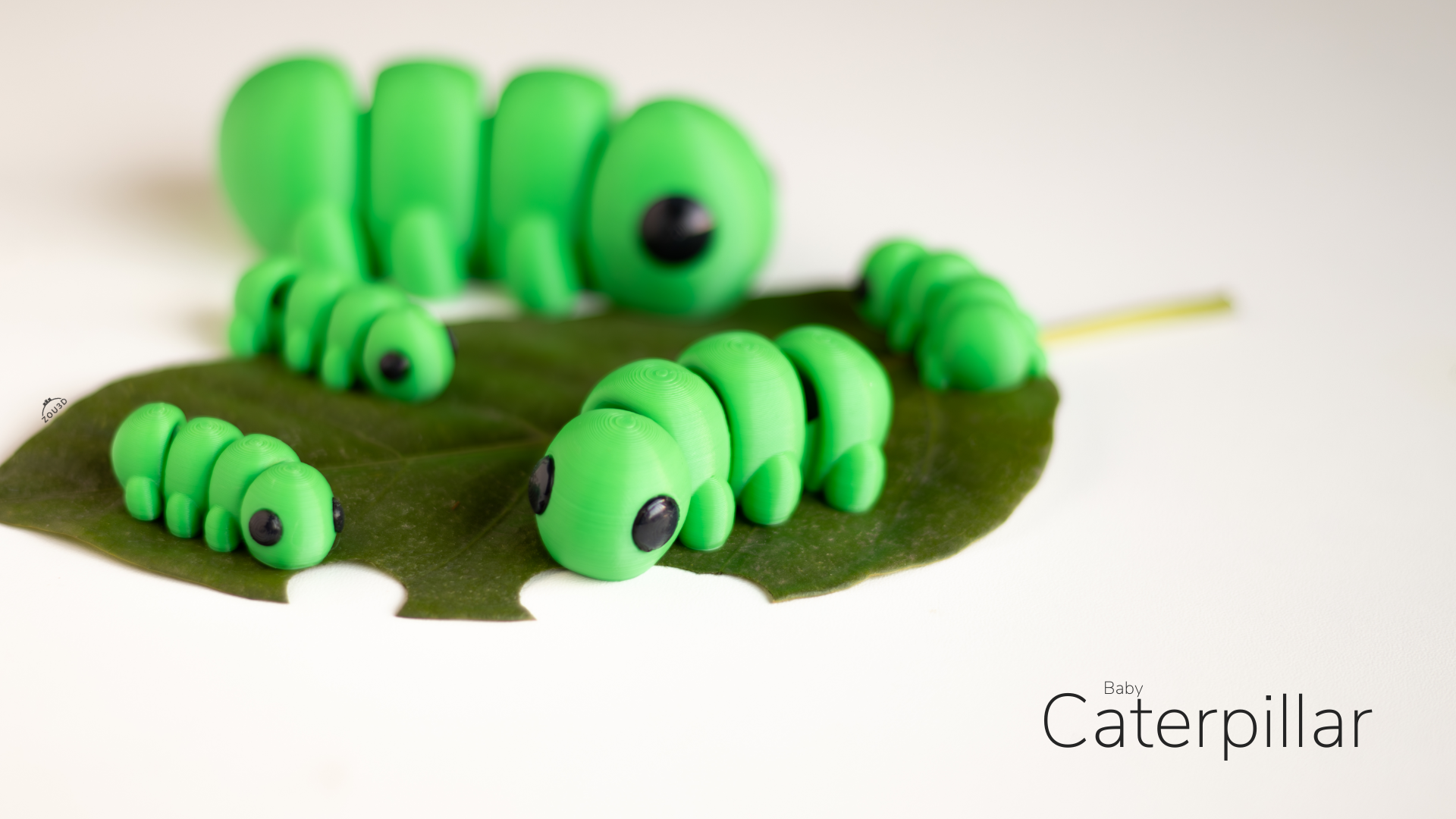 Baby Caterpillar / Bebé Oruga