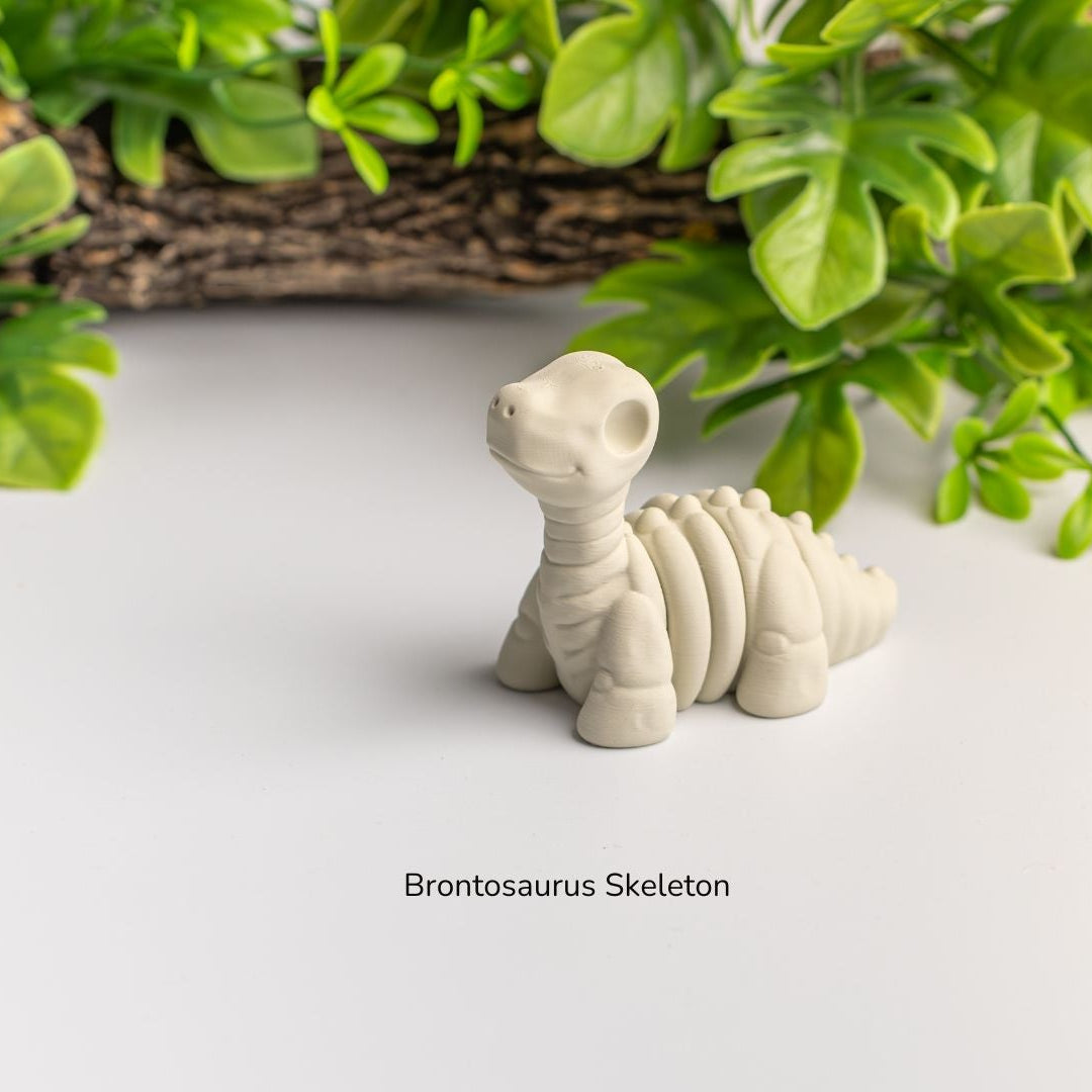 Baby Brontosaurus Skeleton