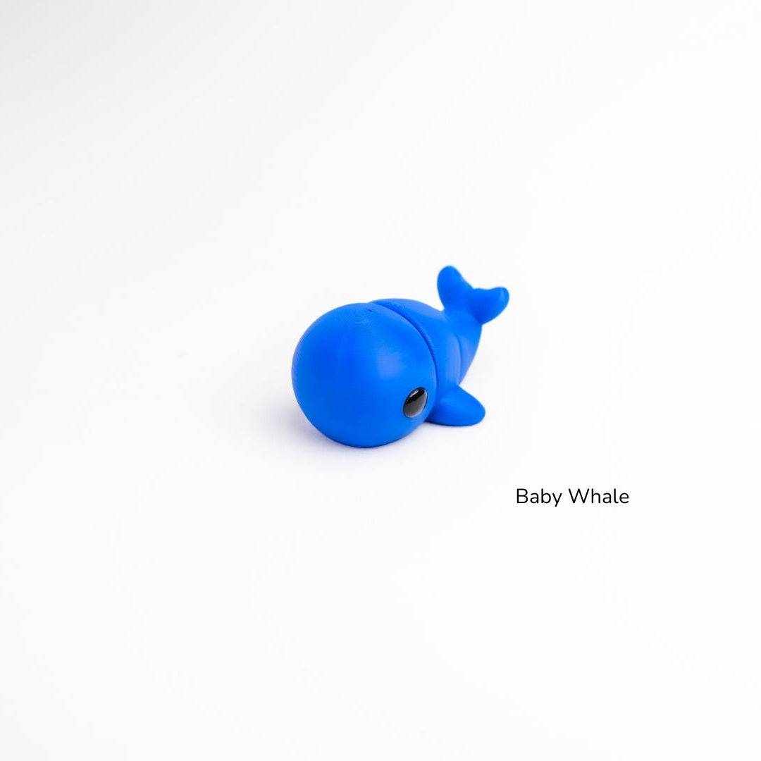 Baby Whale / Bebé Ballena