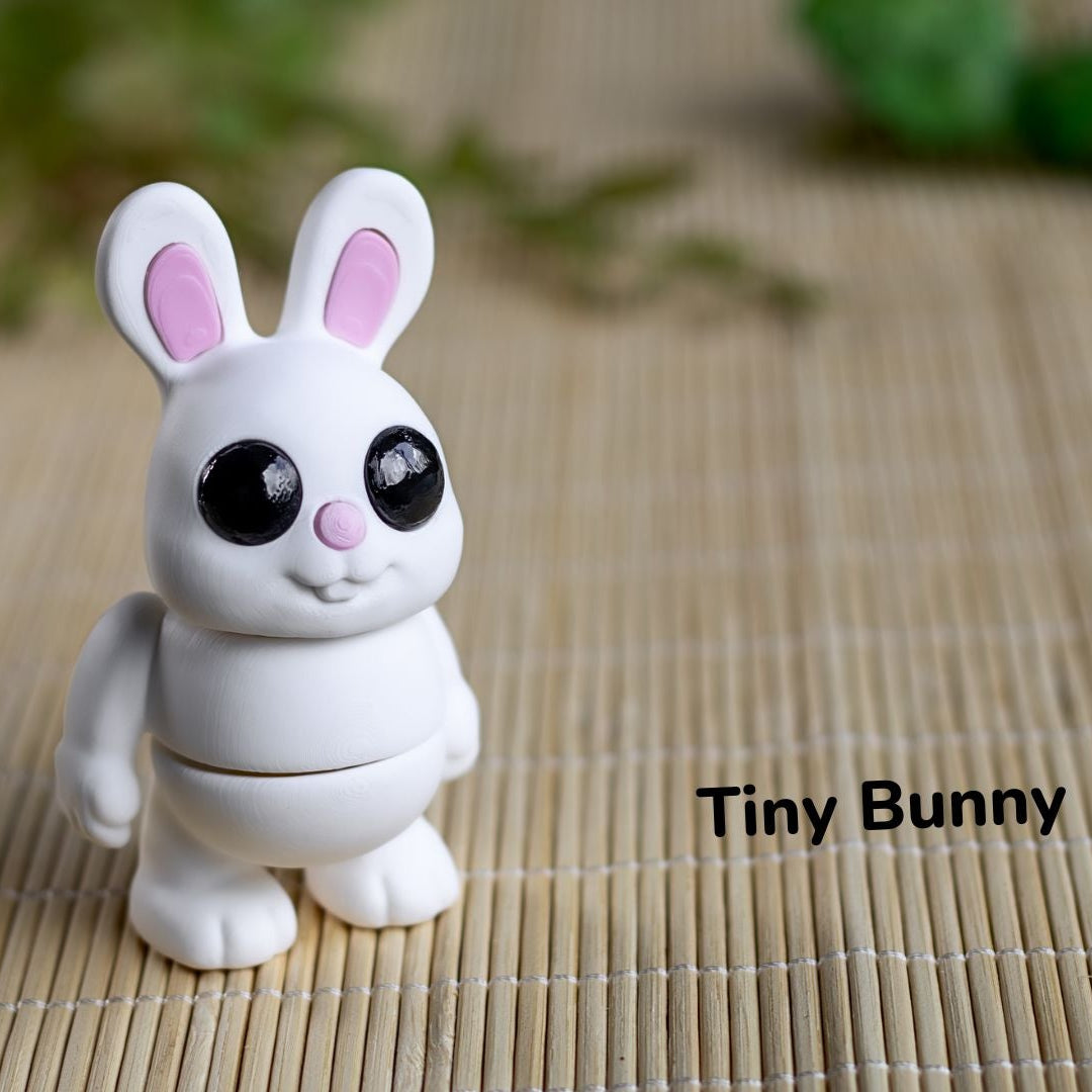 Tiny Bunny / Mini Conejito
