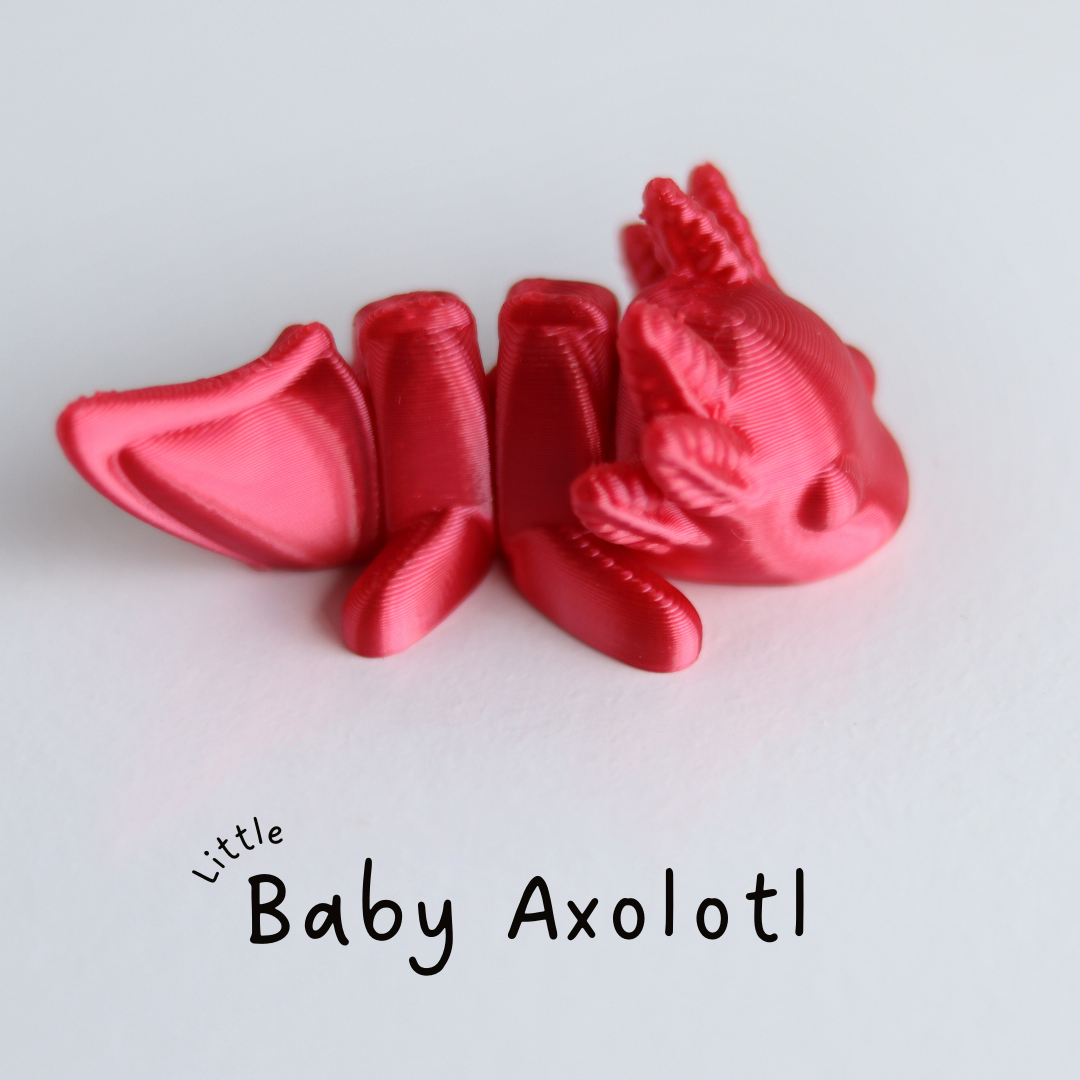 Little Baby Axolotl / Pequeño Bebé Ajolote