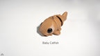 Baby Catfish / Bebé Bagre