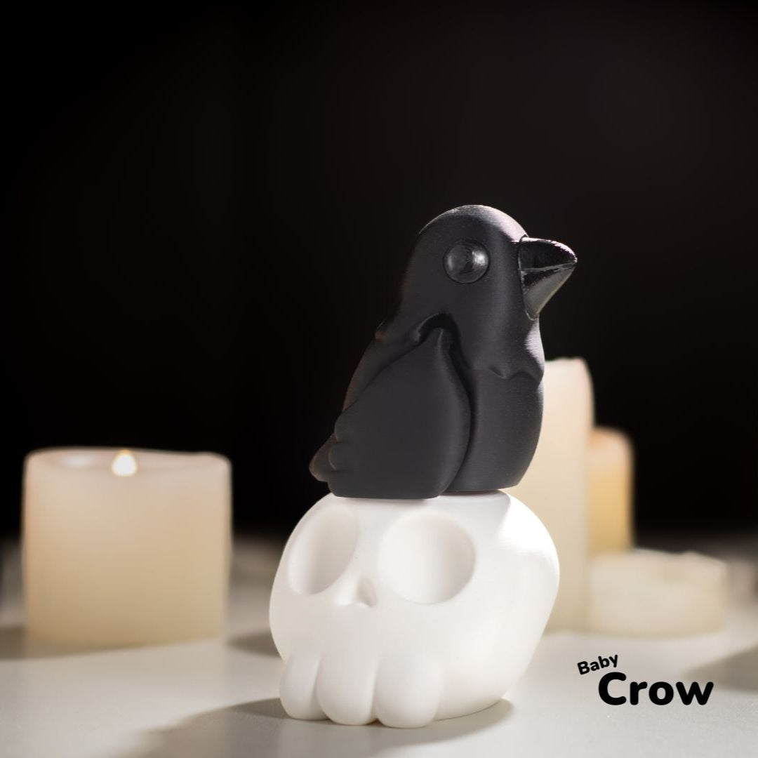 Baby Crow / Bebé Cuervo