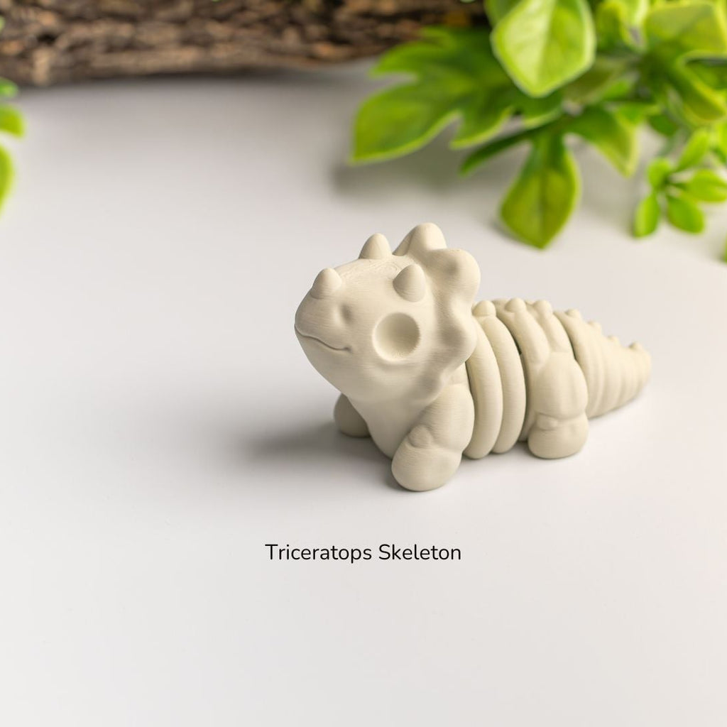 Baby Triceratops Skeleton