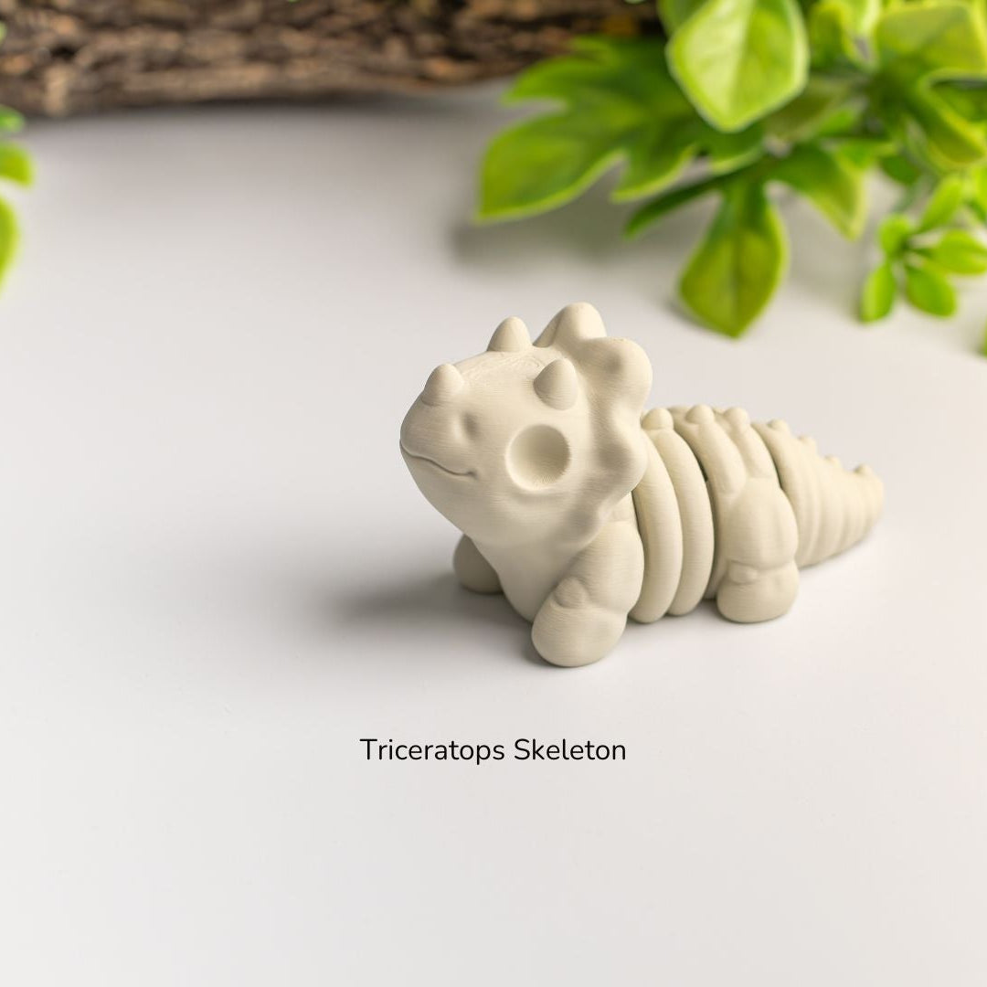 Baby Triceratops Skeleton