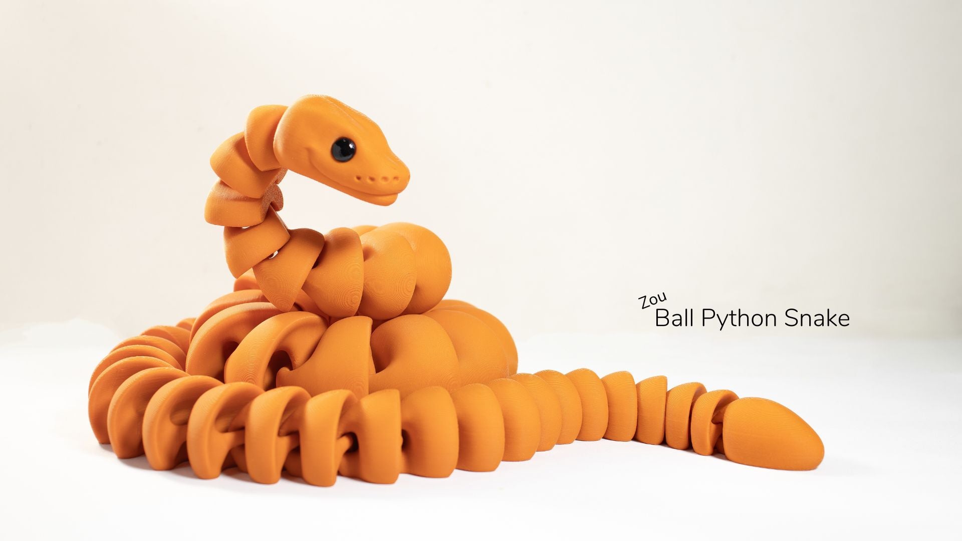 Zou Ball Python Snake / Zou Bola Pitón Serpiente