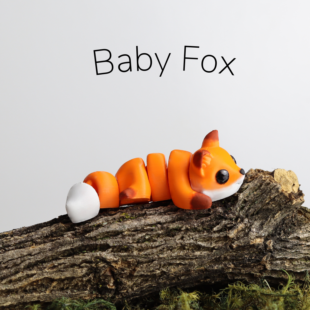 Baby Fox / Bebé Zorro