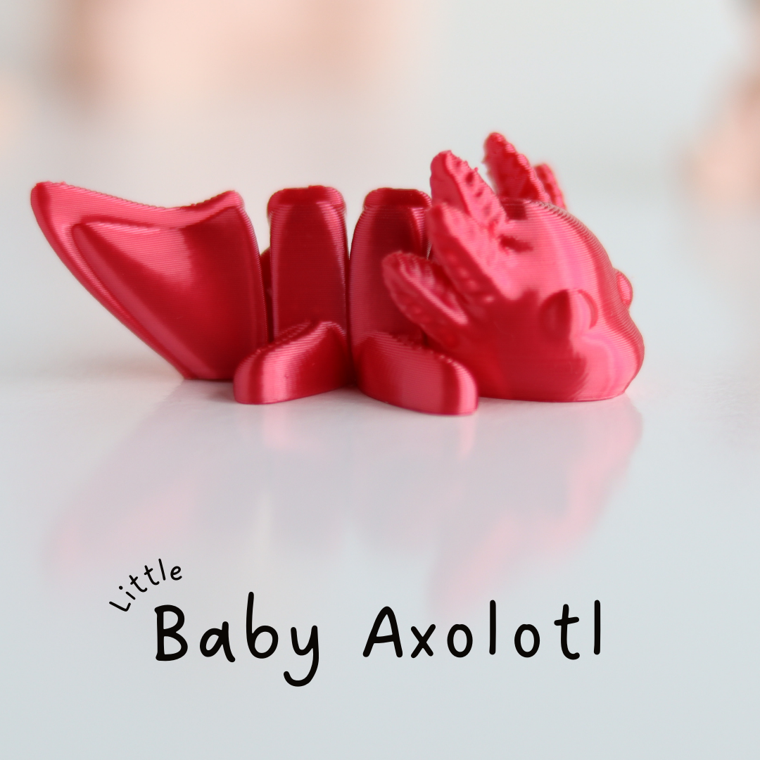 Little Baby Axolotl / Pequeño Bebé Ajolote