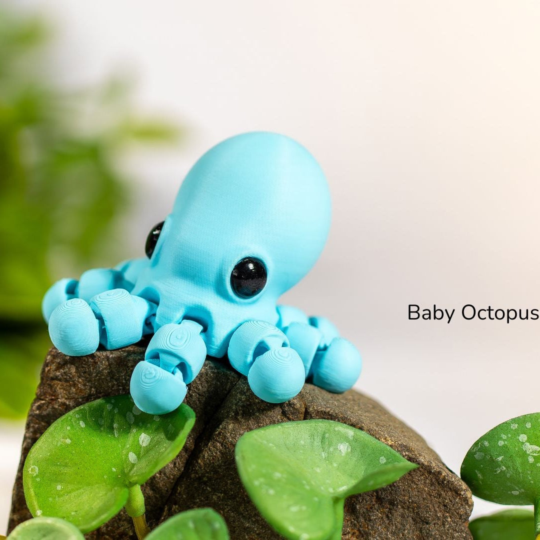 Baby Octopus / Bebé Pulpo 2025