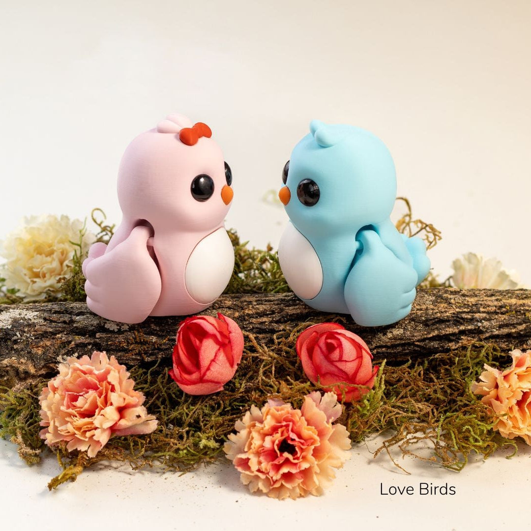 Love Birds / Amor Pájaros