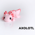 New Baby Axolotl / Nuevo Bebé Ajolote
