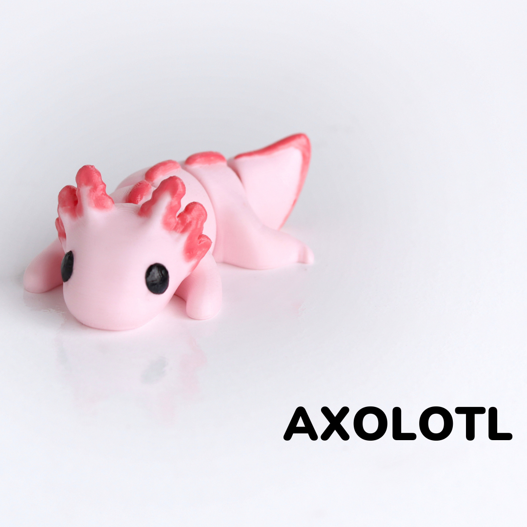 New Baby Axolotl / Nuevo Bebé Ajolote