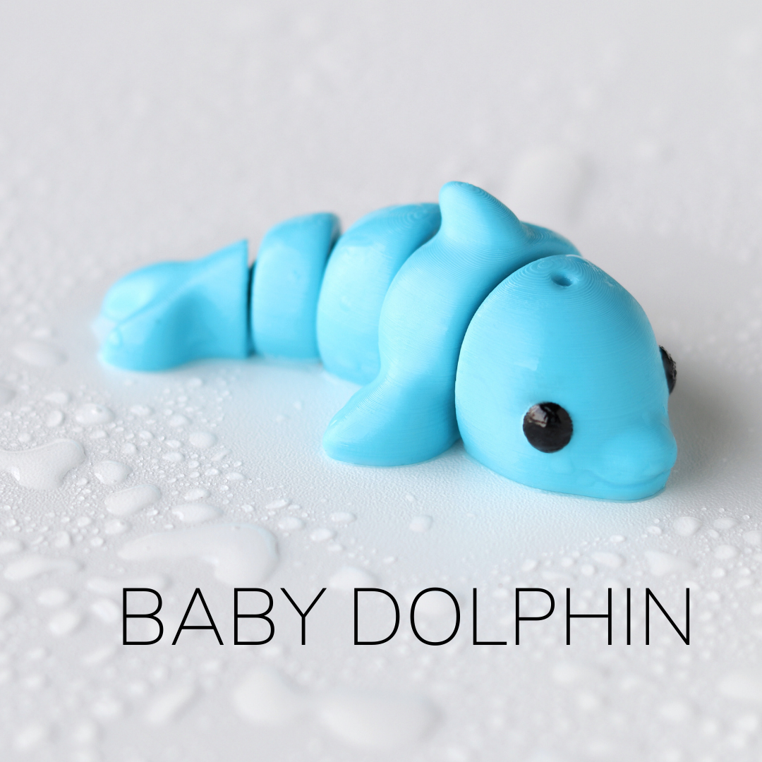 Baby Dolphin / Bebé Delfín