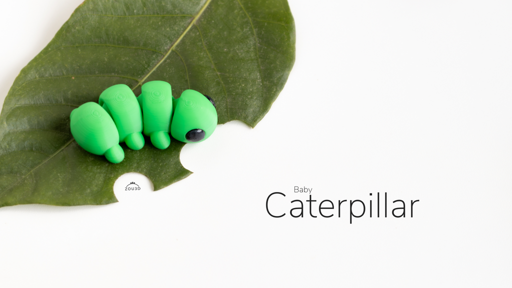 Baby Caterpillar / Bebé Oruga