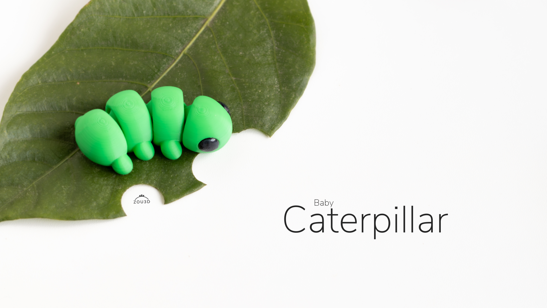 Baby Caterpillar / Bebé Oruga
