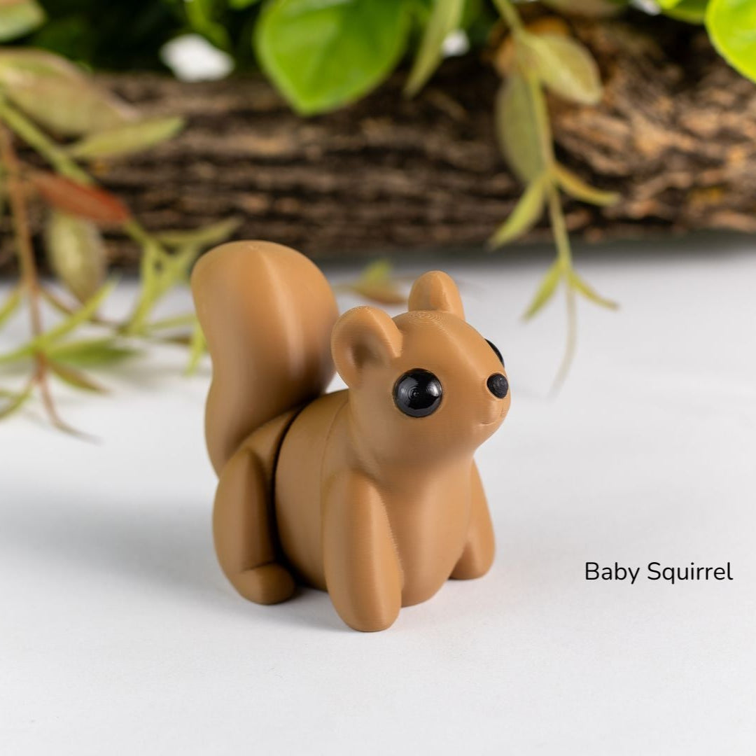 Baby Squirrel / Bebé Ardilla